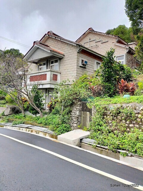 「風尾步道賞櫻」(Cherry blossoms at Windtail, Yangming mountain, Taipei, Taiwan, SJKen, Jan 12, 2022.