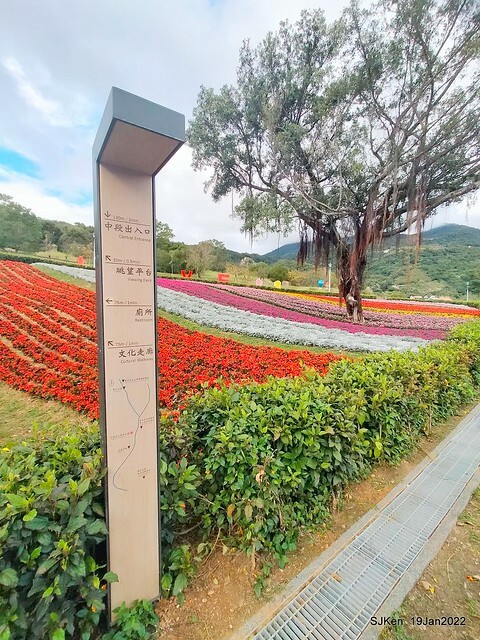 Park blossoms at「 北投社三層崎公園」, Taipei, Taiwan, SJKen, Jan 19, 2022.
