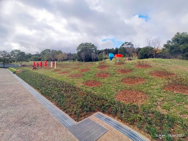 Park blossoms at「 北投社三層崎公園」, Taipei, Taiwan, SJKen, Jan 19, 2022.
