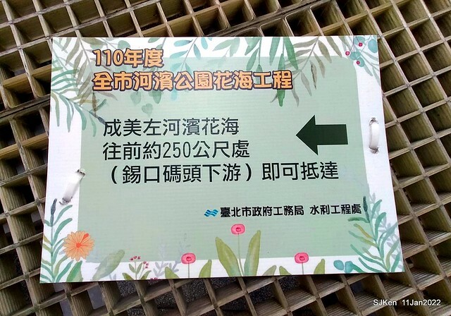 成美左岸河濱公園花海(Flower blossoms of Cheng-Me riverbank garden), Taipei, Taiwan, SJKen, Jan 11, 2022.