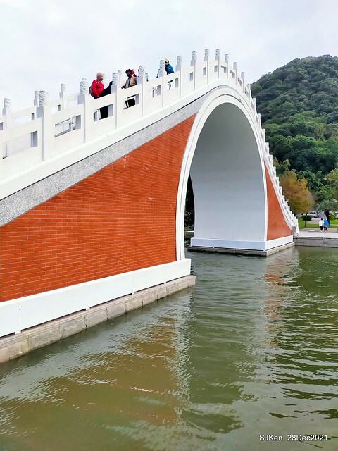 Larix pine & water birds at Big lake garden, Taipei, Taiwan, SJKen, Dec 28, 2021.