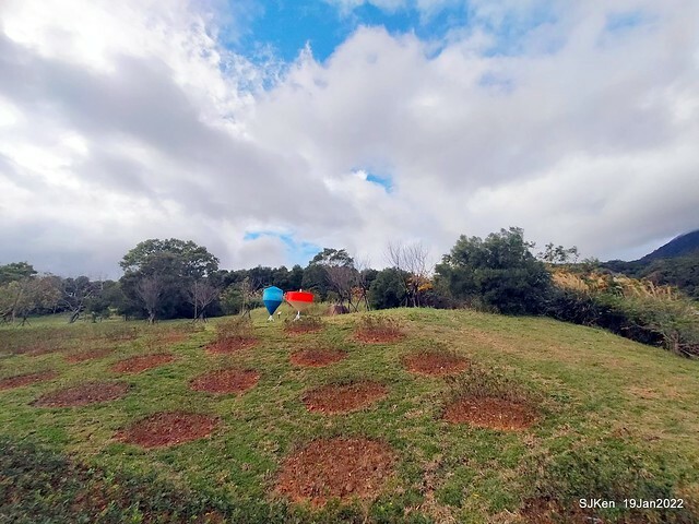 Park blossoms at「 北投社三層崎公園」, Taipei, Taiwan, SJKen, Jan 19, 2022.