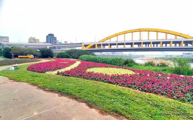 成美左岸河濱公園花海(Flower blossoms of Cheng-Me riverbank garden), Taipei, Taiwan, SJKen, Jan 11, 2022.
