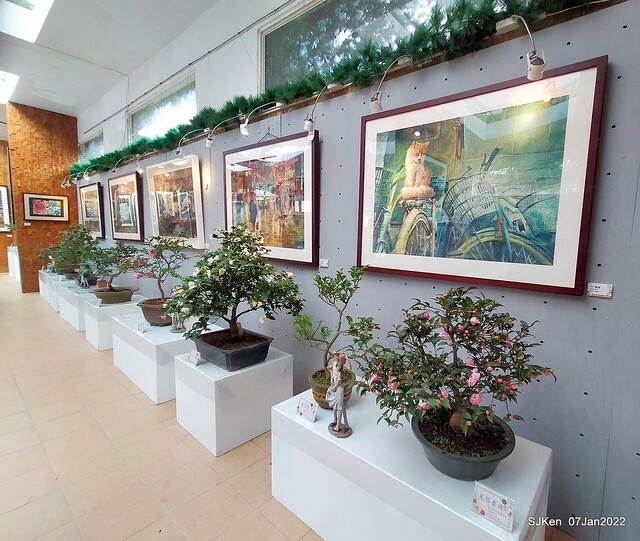 2022「花IN台北」台北花季花卉試驗中心茶花展(2022 Camillia exhibition), Taipei, Taiwan, SJKen,Jan 7,  2022.