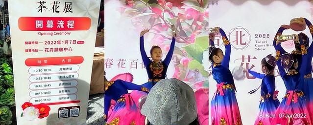 2022「花IN台北」台北花季花卉試驗中心茶花展(2022 Camillia exhibition), Taipei, Taiwan, SJKen,Jan 7,  2022.