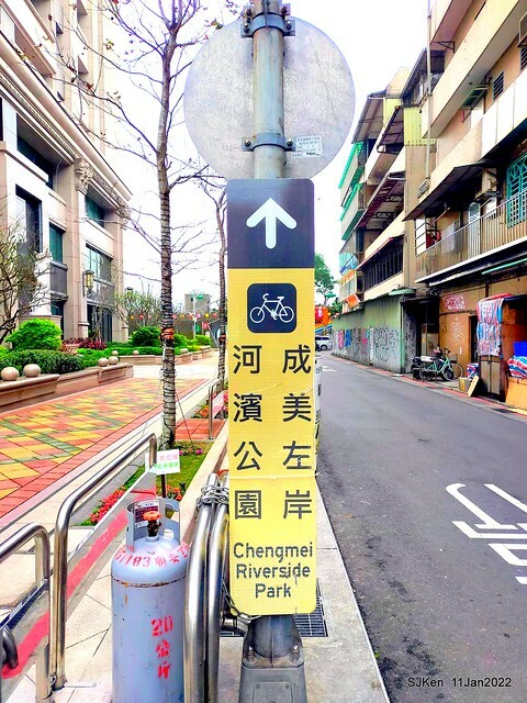 成美左岸河濱公園花海(Flower blossoms of Cheng-Me riverbank garden), Taipei, Taiwan, SJKen, Jan 11, 2022.