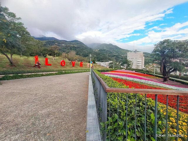 Park blossoms at「 北投社三層崎公園」, Taipei, Taiwan, SJKen, Jan 19, 2022.