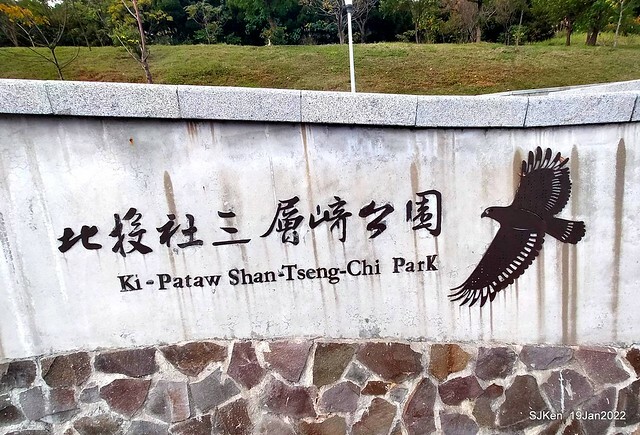 Park blossoms at「 北投社三層崎公園」, Taipei, Taiwan, SJKen, Jan 19, 2022.