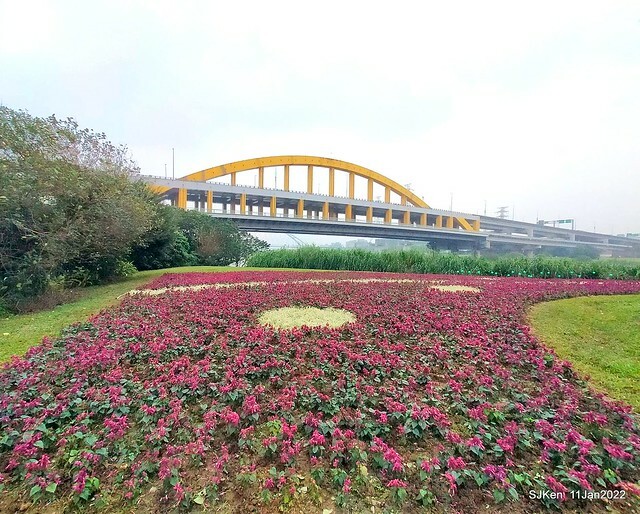 成美左岸河濱公園花海(Flower blossoms of Cheng-Me riverbank garden), Taipei, Taiwan, SJKen, Jan 11, 2022.