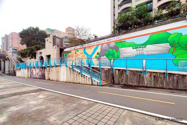 成美左岸河濱公園花海(Flower blossoms of Cheng-Me riverbank garden), Taipei, Taiwan, SJKen, Jan 11, 2022.