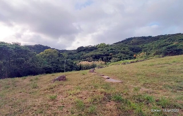Park blossoms at「 北投社三層崎公園」, Taipei, Taiwan, SJKen, Jan 19, 2022.
