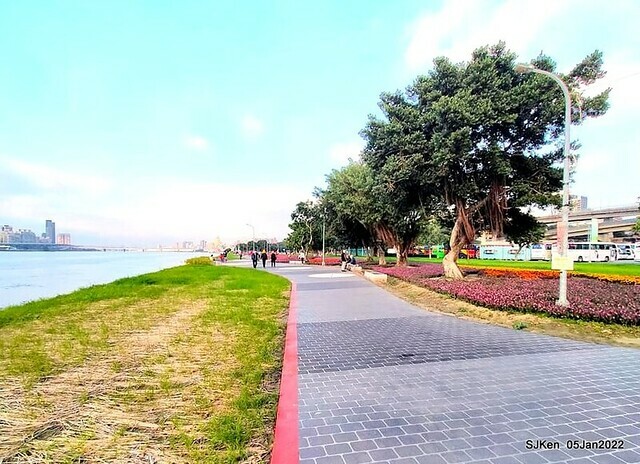 延平河濱公園花海(Flower blossoms of Yan-ping riverbank garden), Taipei, Taiwan, SJKen, Jan 5, 2022.