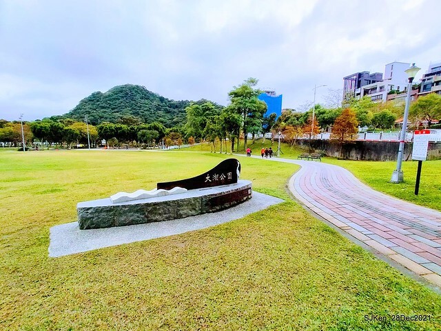 Larix pine & water birds at Big lake garden, Taipei, Taiwan, SJKen, Dec 28, 2021.