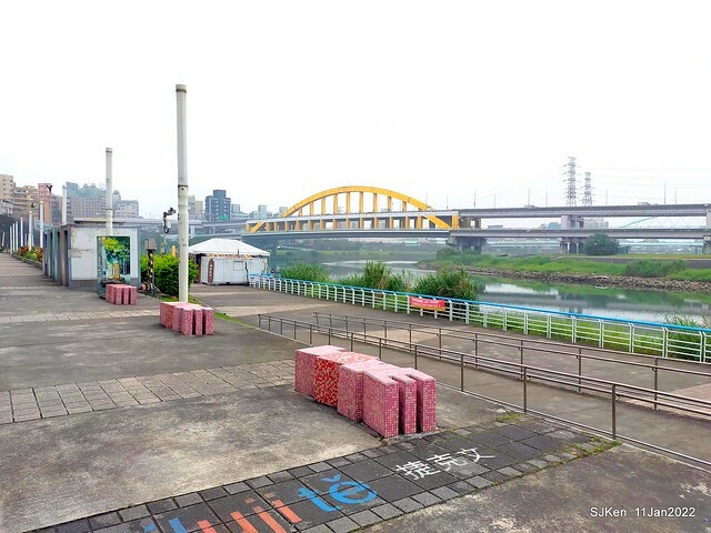 成美左岸河濱公園花海(Flower blossoms of Cheng-Me riverbank garden), Taipei, Taiwan, SJKen, Jan 11, 2022.