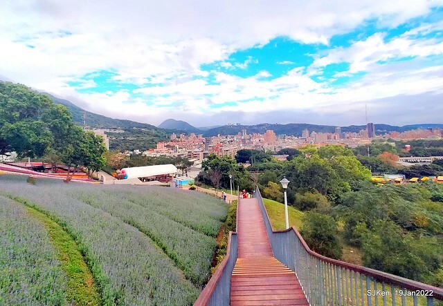 Park blossoms at「 北投社三層崎公園」, Taipei, Taiwan, SJKen, Jan 19, 2022.