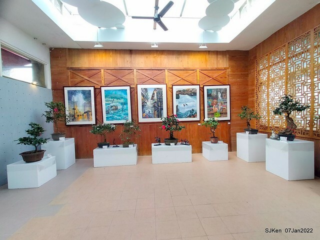 2022「花IN台北」台北花季花卉試驗中心茶花展(2022 Camillia exhibition), Taipei, Taiwan, SJKen,Jan 7,  2022.