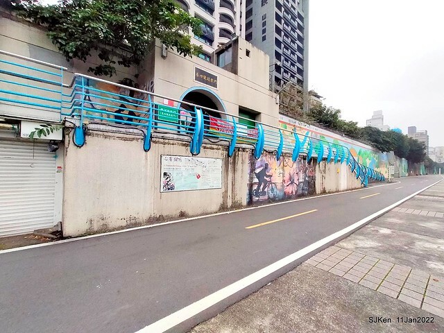 成美左岸河濱公園花海(Flower blossoms of Cheng-Me riverbank garden), Taipei, Taiwan, SJKen, Jan 11, 2022.