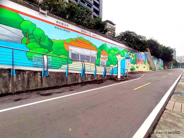 成美左岸河濱公園花海(Flower blossoms of Cheng-Me riverbank garden), Taipei, Taiwan, SJKen, Jan 11, 2022.