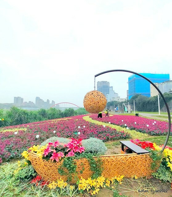 成美左岸河濱公園花海(Flower blossoms of Cheng-Me riverbank garden), Taipei, Taiwan, SJKen, Jan 11, 2022.