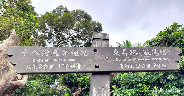 「風尾步道賞櫻」(Cherry blossoms at Windtail, Yangming mountain, Taipei, Taiwan, SJKen, Jan 12, 2022.