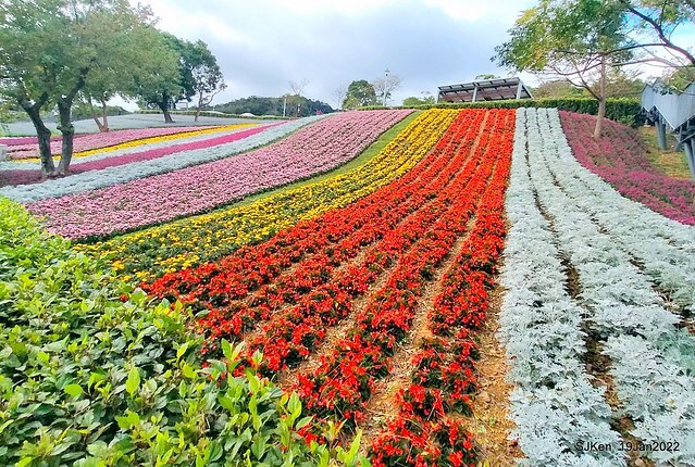 Park blossoms at「 北投社三層崎公園」, Taipei, Taiwan, SJKen, Jan 19, 2022.