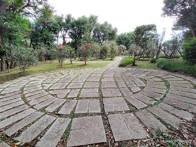 2022「花IN台北」台北花季花卉試驗中心茶花展(2022 Camillia exhibition), Taipei, Taiwan, SJKen,Jan 7,  2022.