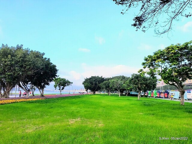 延平河濱公園花海(Flower blossoms of Yan-ping riverbank garden), Taipei, Taiwan, SJKen, Jan 5, 2022.