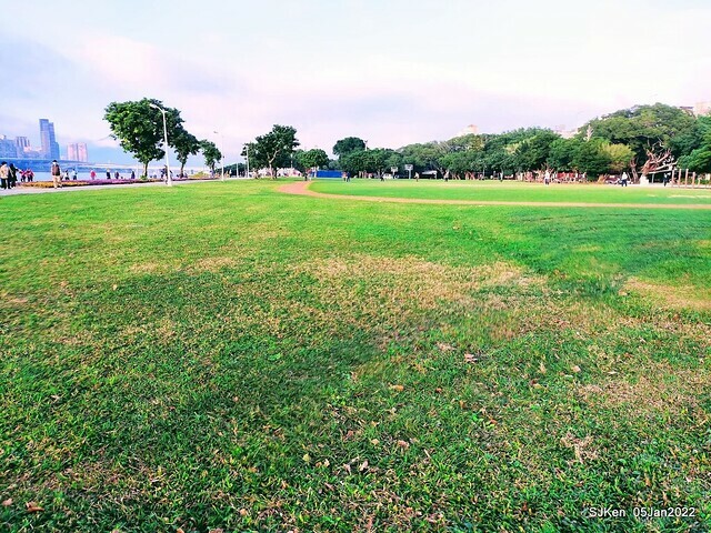 延平河濱公園花海(Flower blossoms of Yan-ping riverbank garden), Taipei, Taiwan, SJKen, Jan 5, 2022.