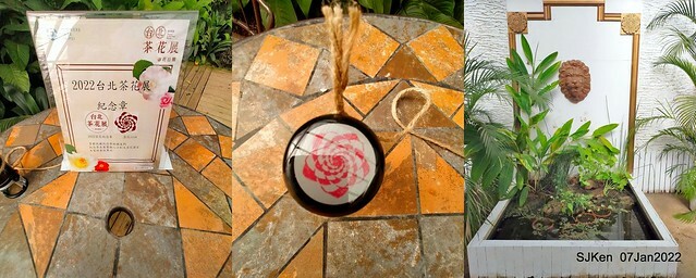 2022「花IN台北」台北花季花卉試驗中心茶花展(2022 Camillia exhibition), Taipei, Taiwan, SJKen,Jan 7,  2022.