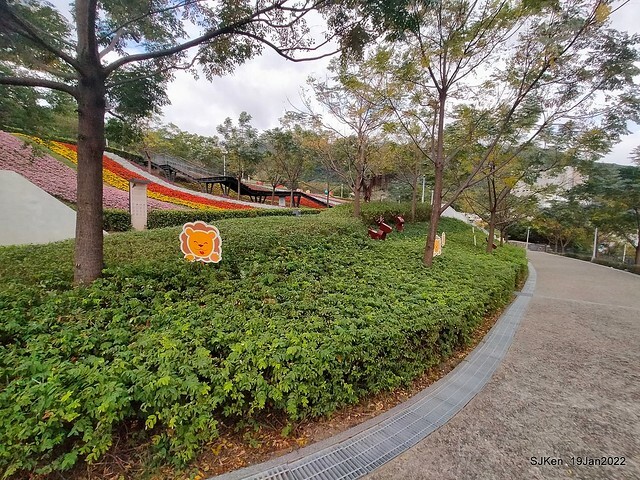 Park blossoms at「 北投社三層崎公園」, Taipei, Taiwan, SJKen, Jan 19, 2022.
