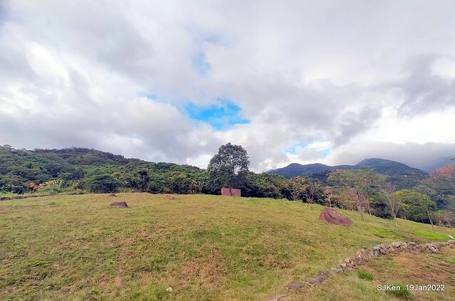Park blossoms at「 北投社三層崎公園」, Taipei, Taiwan, SJKen, Jan 19, 2022.