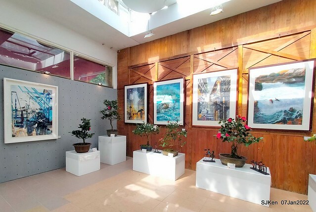 2022「花IN台北」台北花季花卉試驗中心茶花展(2022 Camillia exhibition), Taipei, Taiwan, SJKen,Jan 7,  2022.