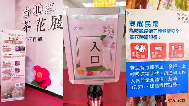2022「花IN台北」台北花季花卉試驗中心茶花展(2022 Camillia exhibition), Taipei, Taiwan, SJKen,Jan 7,  2022.