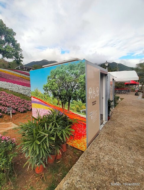 Park blossoms at「 北投社三層崎公園」, Taipei, Taiwan, SJKen, Jan 19, 2022.