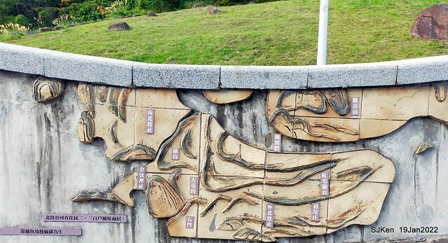 Park blossoms at「 北投社三層崎公園」, Taipei, Taiwan, SJKen, Jan 19, 2022.