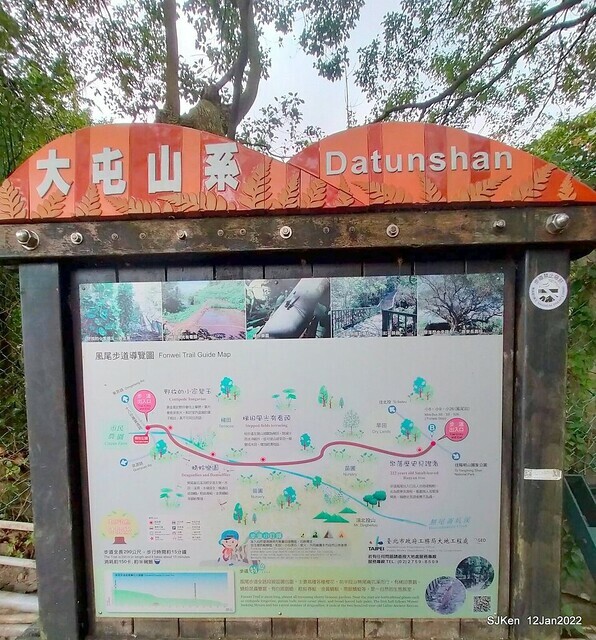 「風尾步道賞櫻」(Cherry blossoms at Windtail, Yangming mountain, Taipei, Taiwan, SJKen, Jan 12, 2022.