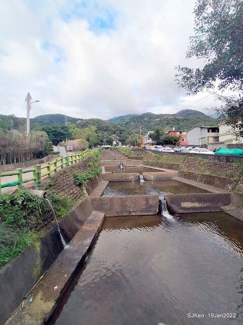 Park blossoms at「 北投社三層崎公園」, Taipei, Taiwan, SJKen, Jan 19, 2022.