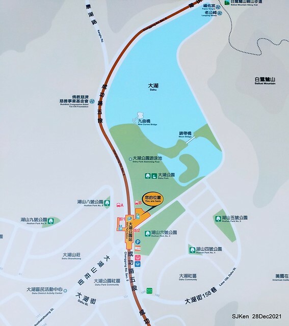 Larix pine & water birds at Big lake garden, Taipei, Taiwan, SJKen, Dec 28, 2021.