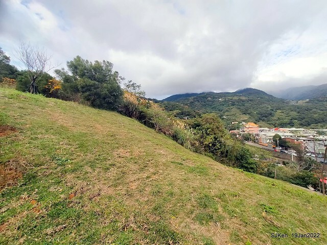 Park blossoms at「 北投社三層崎公園」, Taipei, Taiwan, SJKen, Jan 19, 2022.