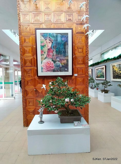 2022「花IN台北」台北花季花卉試驗中心茶花展(2022 Camillia exhibition), Taipei, Taiwan, SJKen,Jan 7,  2022.