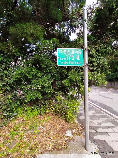 2022「花IN台北」台北花季花卉試驗中心茶花展(2022 Camillia exhibition), Taipei, Taiwan, SJKen,Jan 7,  2022.