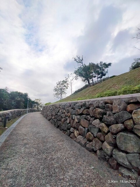 Park blossoms at「 北投社三層崎公園」, Taipei, Taiwan, SJKen, Jan 19, 2022.