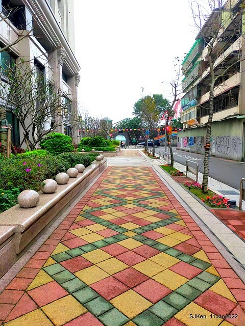 成美左岸河濱公園花海(Flower blossoms of Cheng-Me riverbank garden), Taipei, Taiwan, SJKen, Jan 11, 2022.