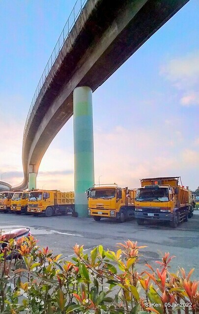 延平河濱公園花海(Flower blossoms of Yan-ping riverbank garden), Taipei, Taiwan, SJKen, Jan 5, 2022.