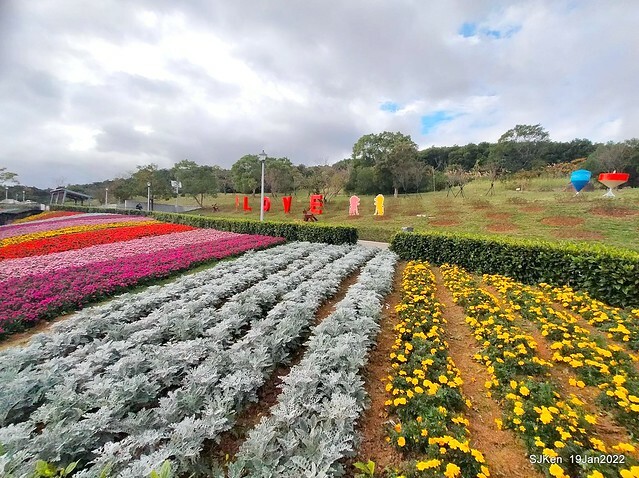 Park blossoms at「 北投社三層崎公園」, Taipei, Taiwan, SJKen, Jan 19, 2022.