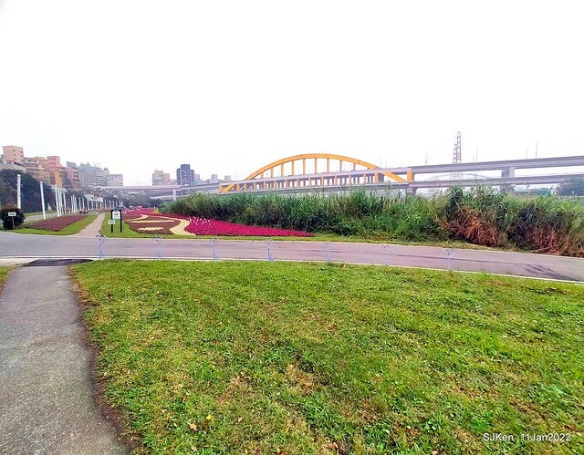 成美左岸河濱公園花海(Flower blossoms of Cheng-Me riverbank garden), Taipei, Taiwan, SJKen, Jan 11, 2022.