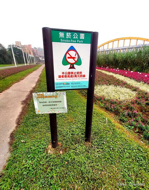 成美左岸河濱公園花海(Flower blossoms of Cheng-Me riverbank garden), Taipei, Taiwan, SJKen, Jan 11, 2022.