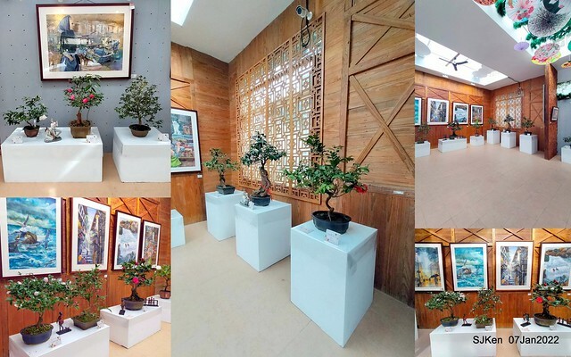 2022「花IN台北」台北花季花卉試驗中心茶花展(2022 Camillia exhibition), Taipei, Taiwan, SJKen,Jan 7,  2022.