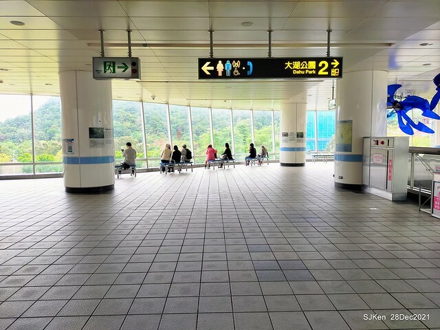 Larix pine & water birds at Big lake garden, Taipei, Taiwan, SJKen, Dec 28, 2021.