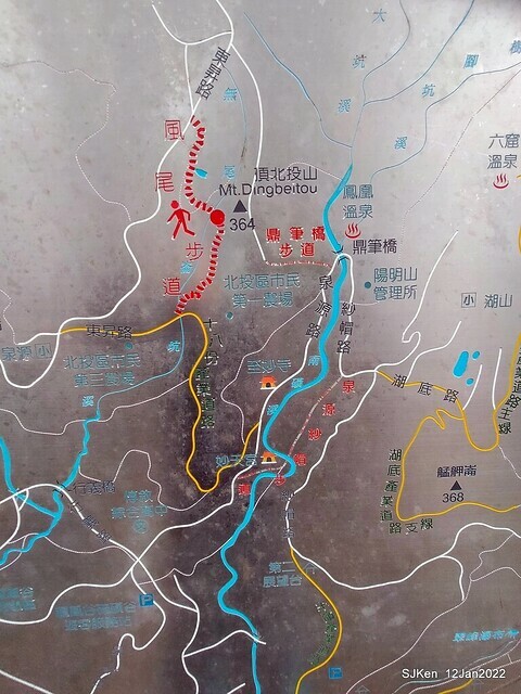 「風尾步道賞櫻」(Cherry blossoms at Windtail, Yangming mountain, Taipei, Taiwan, SJKen, Jan 12, 2022.